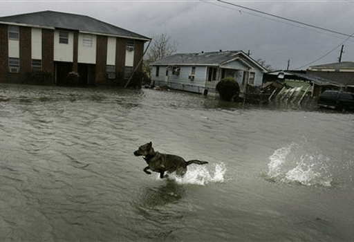 image881354.gif 