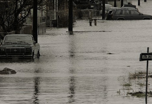 image881355.gif 