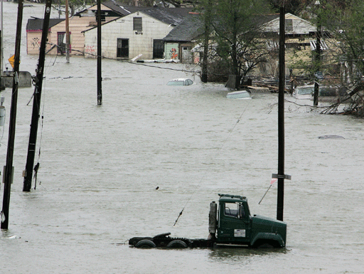 image881357.gif 