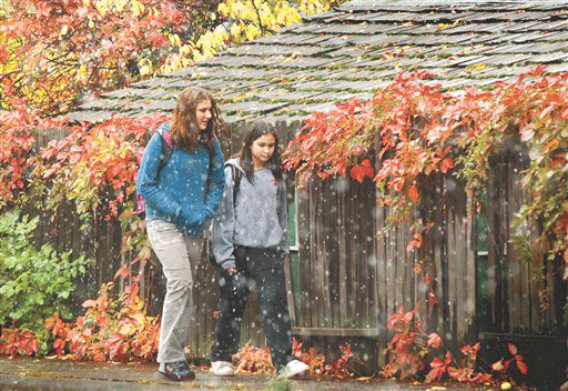 image917742.gif 