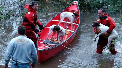 image930940.jpg 