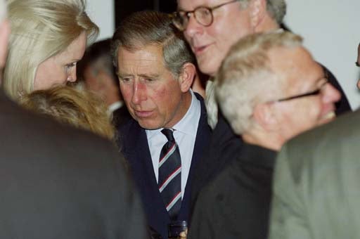 image1002171.jpg 