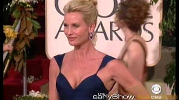 Nicollette Sheridan 