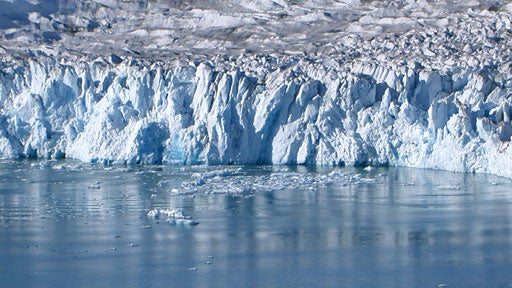 image1323989.jpg 