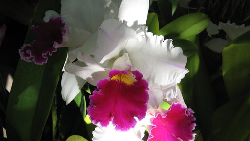 image1427043.jpg 