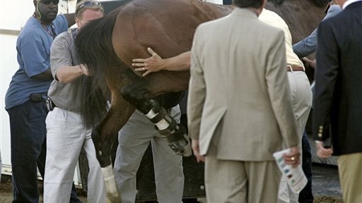 Barbaro 