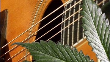 Guitar with marijuana leaves 