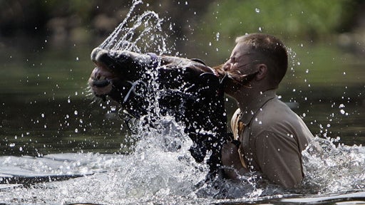 Horseplay 