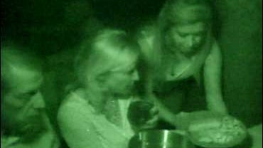 Yusuf Islam, Cat Stevens 