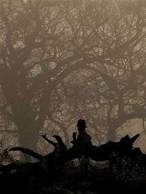 Fog Lifting On U.K. Slays? 