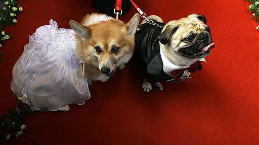 The Old Ball And Leash? 