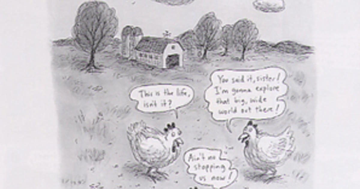 The Cartoons Of Roz Chast