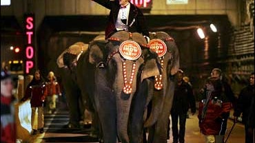 Bello Nock, Ringling Bros. and Barnum and Bailey circus, elephant walk 