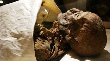 Queen Hatshepsut's mummy 