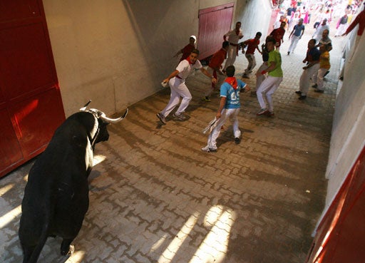 image3071592.jpg 