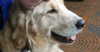 Dog, Cat Honored For Saving Masters - CBS News