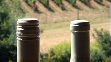 Two bottles of wine: one corked, the other screw-capped 