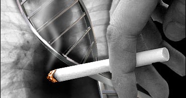 Deadly Link To Smoking, Cancer CBS News