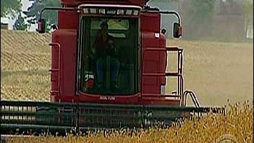 Biofuels 