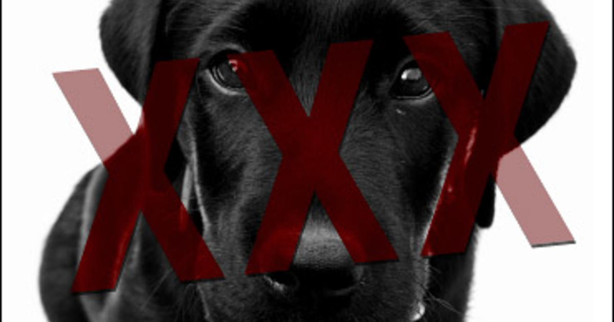 Dog Fort Net Com - Dogs Trained For Bestiality Get Reprieve - CBS News
