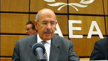 International Atomic Energy Agency Director General Mohammed ElBaradei 
