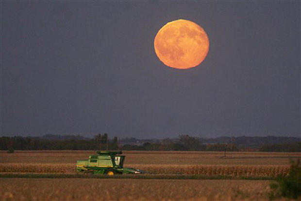 Harvest Moon 