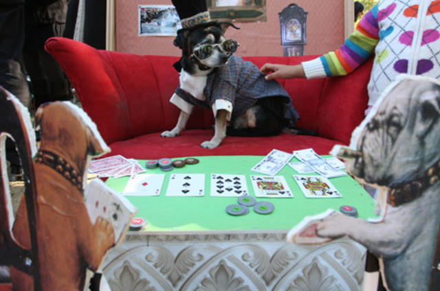 In Philly's Hound-O-Ween contest, dogs wore the costumes — from Cinderella  to Workout Barbie