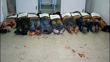 Mexico Decapitations 