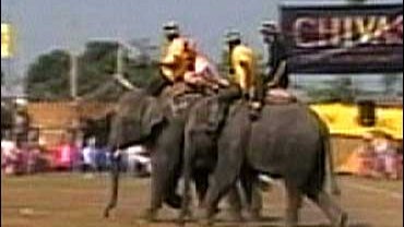 New York Blue, an amateur elephant polo team, participates in the World Championships in Katmandu, Nepal. 