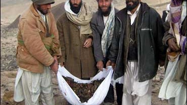 Afghans carry body parts of the victims lled in an air strike in Gozara district of Herat province west of Kabul 