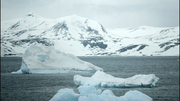 Melting Icebergs In Antarctica 