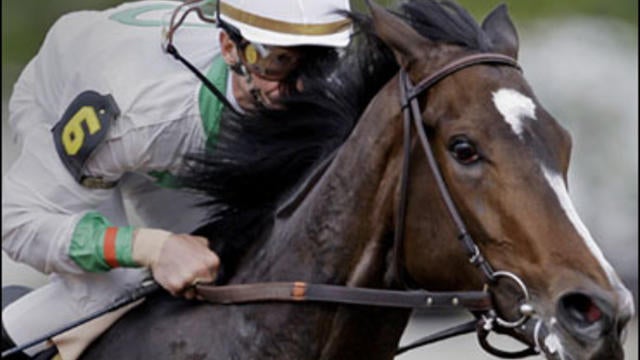 Rachel Alexandra 