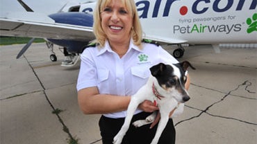 Pet Airways 