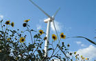 Roscoe Wind Complex_Wind Farm 