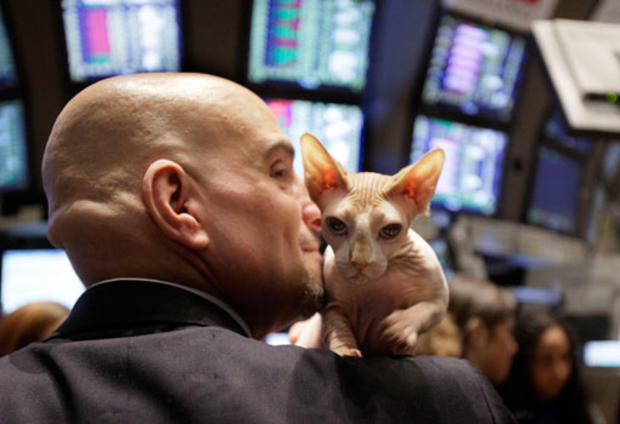 Wall Street Cats 