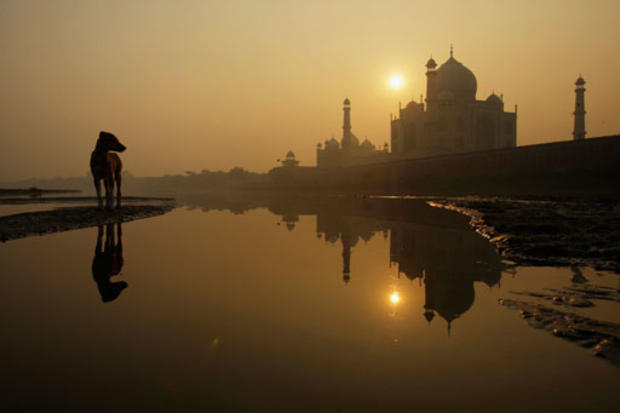 Taj Mahal at Sunrise 