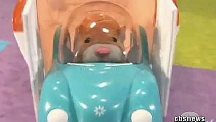 carousel: Zhu Zhu, this year's hottest toy. 