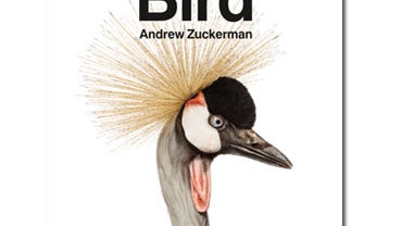 Bird -- The Early Show 