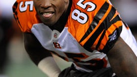 Chad-Ochocinco.jpg 