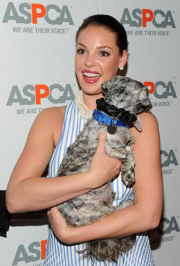 ASPCA-Katherine-Heigl.jpg 