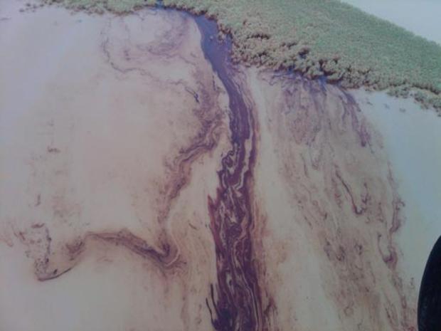 Gulf Coast Oil Spill 
