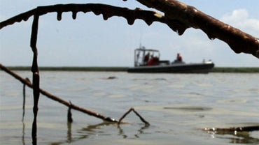 A Greenpeace boat is framed by oil-soaked cane near the mouth of the Mississippi River south of Venice, La. Wednesday, May 19, 2010. 