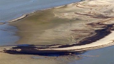 Oil is seen on an island near the South Pass of the Mississippi River on the coast of Louisiana, Friday, May 21, 2010.  