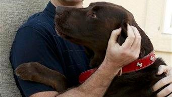 Bruce Beresford Redman 