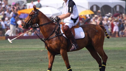 Prince-Harry-Polo-Carousel.jpg 