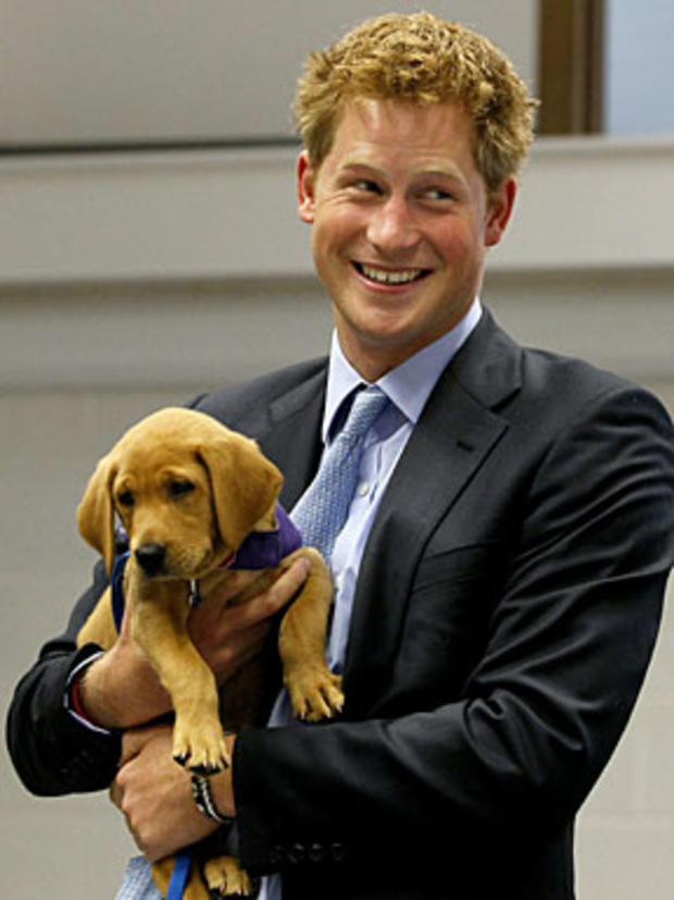 Prince Harry holds an eight week old puppy called Veyron during a visit to the charity Canine Partners Training Centre on July 13, 2010 in Midhurst, United Kingdom. (Photo by Kirsty Wigglesworth/WPA Pool/Getty Images)  
