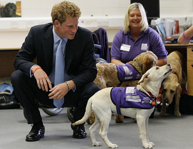 : Prince Harry watches Una, a labrador puppy being trained during a visit to the charity Canine Partners Training Centre on July 13, 2010 in Midhurst, United Kingdom. (Photo by Kirsty Wigglesworth/WPA Pool/Getty Images)  