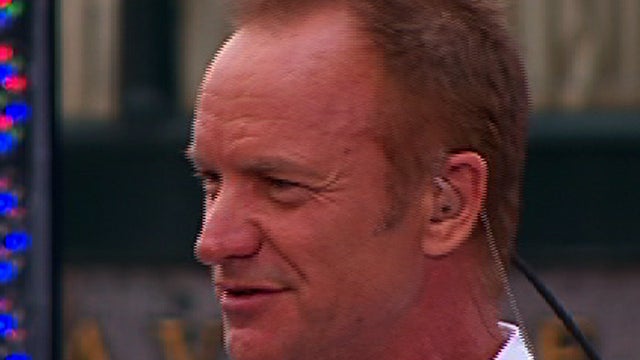 sting2.jpg 