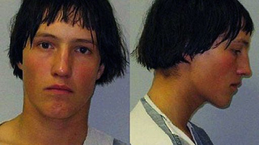 Amish Teen, Levi Detweiler Led Cops on Horse and Buggy Chase, Say Police 