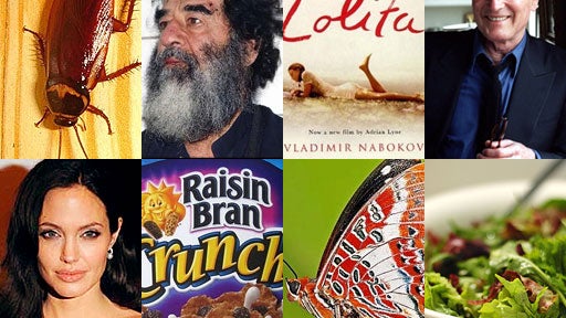 Famous Food Fetishes: Cockroaches and Butterflies? 